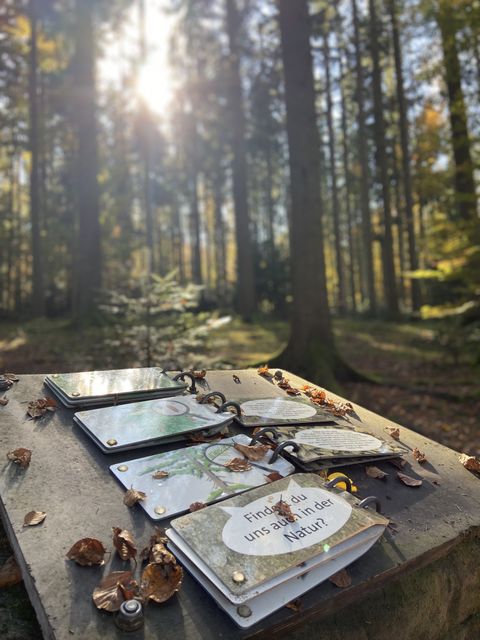 Weißtannenerlebnispfad