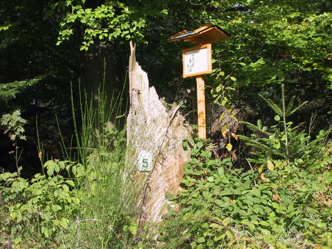 Naturlehrpfad