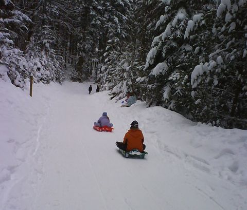 Rodelbahn im Eulenloch
