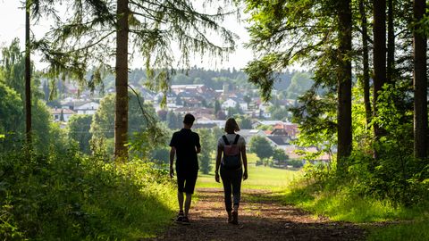 Wanderer im Wald 