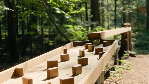 Kugelbahn auf dem Erlebnispfad 