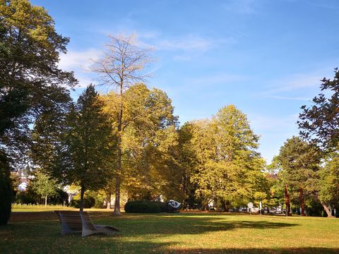 Kurpark Schömberg
