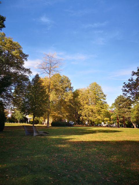 Kurpark Schömberg