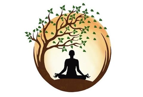 Qi Gong 
