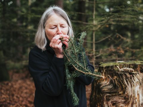 Roswitha Hild