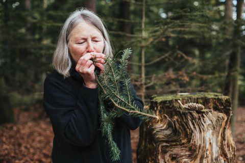 Roswitha Hild